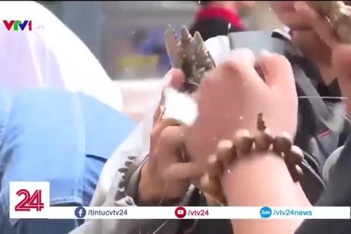 Làm sao chơi đồ cổ cho đáng 'đồng tiền bát gạo'?