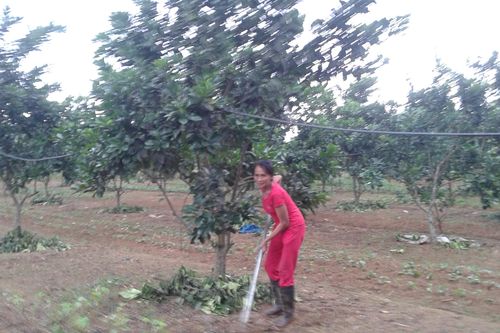 Một vùng biên kiểu mẫu