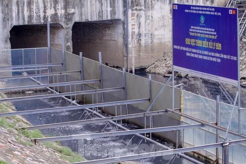Chất lượng nước sông Tô Lịch biến chuyển ra sao khi dùng 'bảo bối' của Nhật?