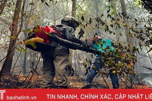 Lại cháy rừng thông trên 40 năm tuổi ở huyện miền núi Hà Tĩnh