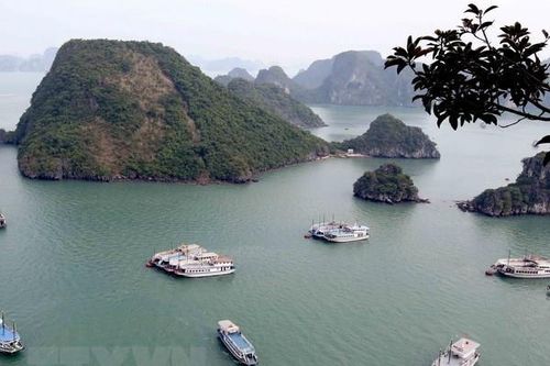 Quảng Ninh chấn chỉnh vi phạm trong lĩnh vực dịch vụ du lịch