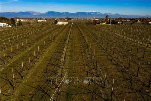 Vùng đồi nho Prosecco của Italy và cung điện Khan của Azerbaijan được công nhận là Di sản thế giới
