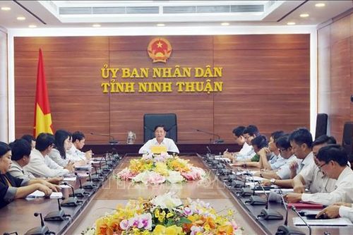 Ninh Thuận họp khẩn chống dịch tả lợn châu Phi