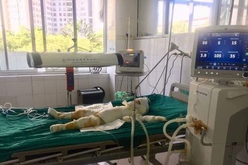 Đổ 30 lít xăng thiêu sống 5 người, nghi phạm có thể đối mặt án tử hình
