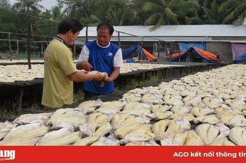 'Mỗi xã 1 sản phẩm' - động lực xây dựng nông thôn mới