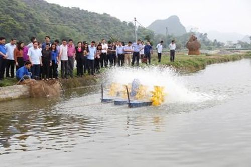 Yên Đồng: Đẩy mạnh phát triển chăn nuôi, thủy sản