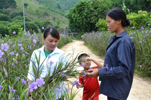 Tri Phú: Cán bộ, đảng viên một 'vai', hai việc