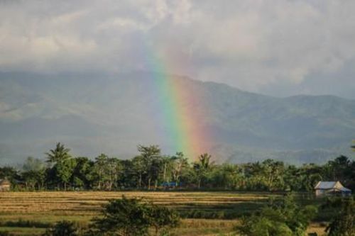 Thế giới Thế giới toàn cảnh Châu Á – Thái Bình Dương phải đầu tư vào nông nghiệp để đạt được mục tiêu phát triển bền vững