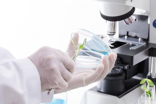Hướng dẫn về phạt vi phạm trong góp vốn hoạt động khoa học và công nghệ