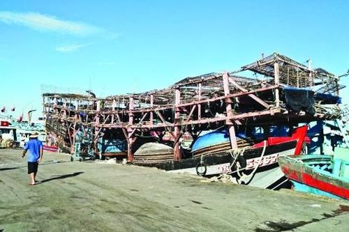 Hải sản ứ đọng do xuất khẩu gặp khó
