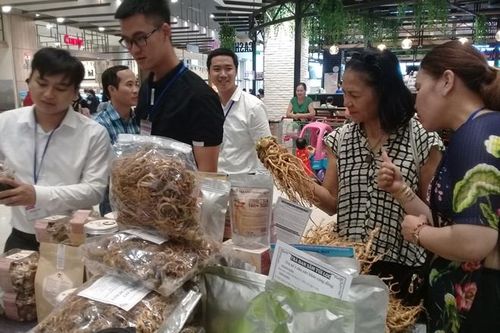 'Tuần lễ sản phẩm doanh nghiệp Đà Lạt - Lâm Đồng' tại TP Hồ Chí Minh