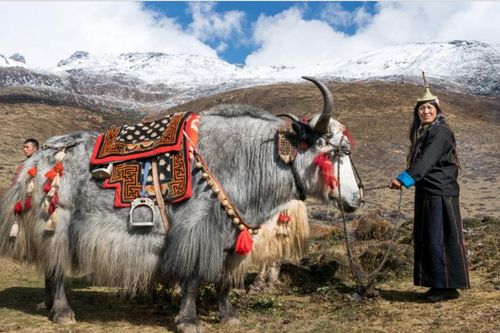 Bhutan – một trong những quốc gia hạnh phúc nhất thế giới qua lời kể của du khách (phần I)