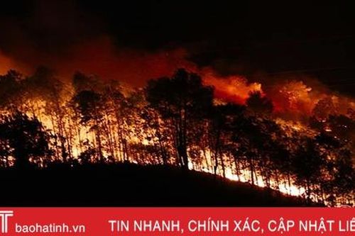 Rừng thông trên 40 năm tuổi ở Hương Sơn bùng cháy lần 2 trong 1 ngày