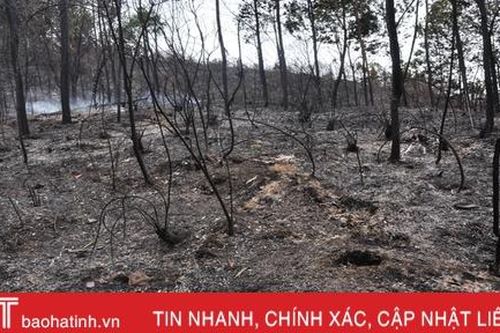Núi Nầm Hương Sơn hoang tàn sau 2 trận cháy liên tiếp
