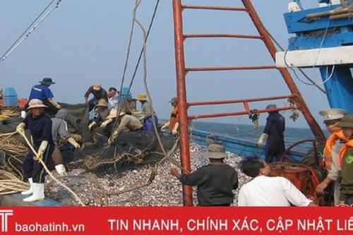 Hà Tĩnh xử lý hàng chục tàu cá vi phạm khai thác hải sản