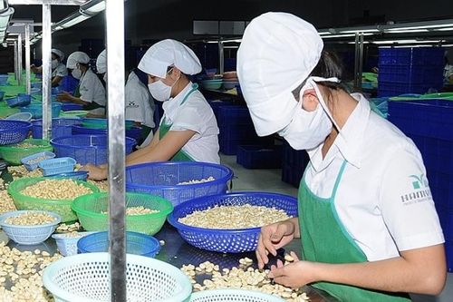 Để nông sản thâm nhập vào EU: Biết mình, biết người