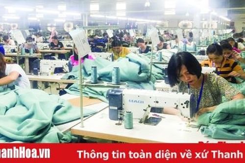 Huyện Nông Cống phấn đấu hoàn thành các chỉ tiêu thu ngân sách Nhà nước