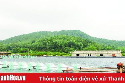 Huyện Hoằng Hóa: 6 tháng, tổng sản lượng khai thác, nuôi trồng thủy sản tăng 7,1% so với cùng kỳ