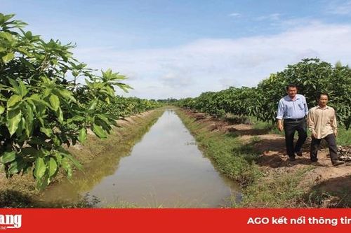 Chuyển dịch cây trồng, vật nuôi để tăng thu nhập