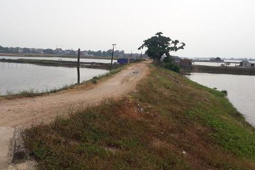 TP Sầm Sơn (Thanh Hóa): Trước mùa mưa bão, hàng nghìn hộ dân lo đê vỡ