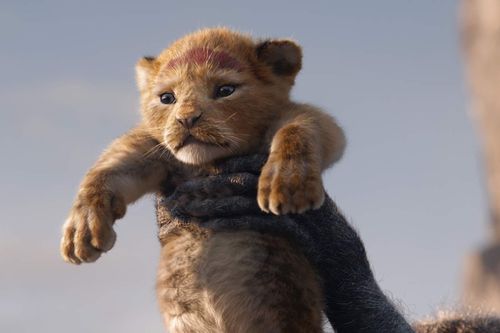 'The Lion King' nhận mưa lời khen khi chiếu ra mắt tại Mỹ