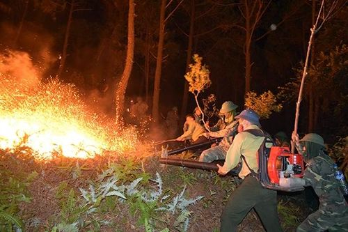 Cần chủ động, tích cực hơn trong phòng cháy, chữa cháy rừng