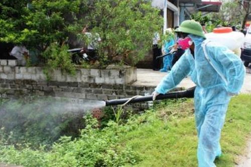 Sốt xuất huyết bùng phát mạnh ở khu vực phía Nam, gần 50.000 ca mắc bệnh