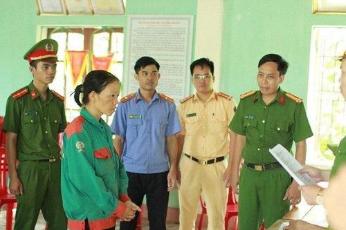 Khởi tố bị can liên quan đến vụ cháy rừng ở Hà Tĩnh