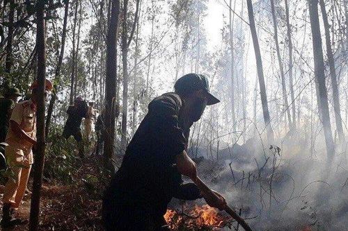 Bình Định: Rừng keo bùng cháy giữa trưa, hơn 400 người nỗ lực dập lửa