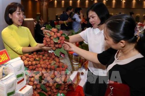 Doanh thu từ vải thiều và dịch vụ phụ trợ đạt trên 6.500 tỷ đồng
