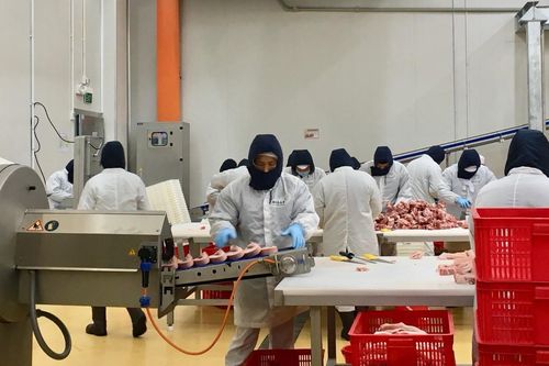 Thịt mát nội địa phát triển mạnh trước bão thịt nhập