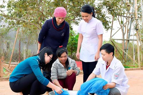 Gia Lai: Tập trung phòng, chống sốt xuất huyết