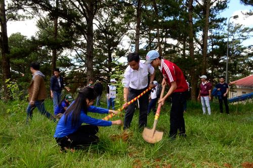 Thêm những 'khoảng trời hồng' cho thành phố