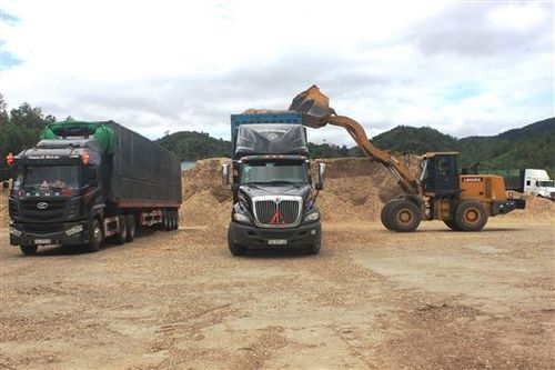 Doanh thu từ dịch vụ vận tải tăng cao