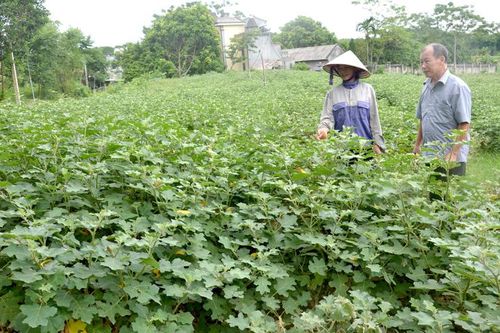 Ai cũng có thể học Bác