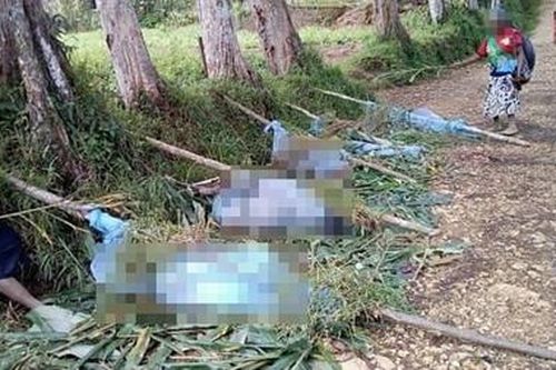 Thảm sát bộ lạc ở Papua New Guinea, nhiều phụ nữ và trẻ em thiệt mạng