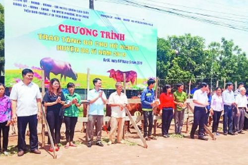 Sẵn sàng cho thành công Đại hội đại biểu MTTQ thành phố