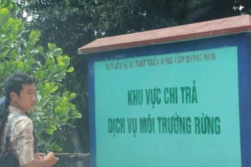 Quảng Nam: Sớm tháo gỡ vướng mắc trong cấp sổ đỏ đất lâm nghiệp