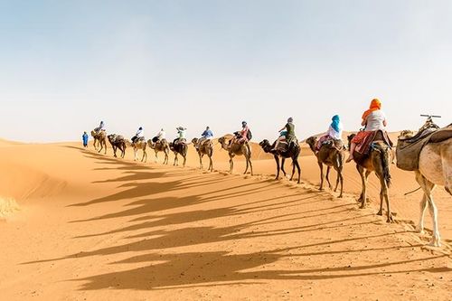 Hơn cả một chuyến đi: Trải nghiệm cuộc sống khắc nghiệt trên sa mạc Sahara