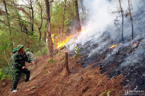 Quân khu 4 khen thưởng tập thể, cá nhân có thành tích xuất sắc trong tham gia chữa cháy rừng