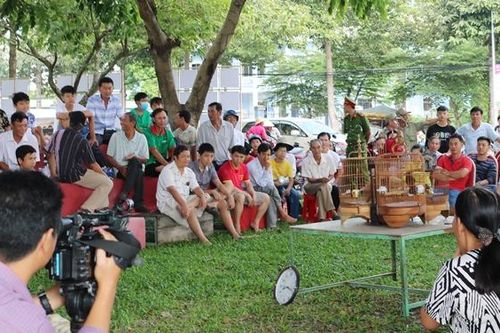 Hội thi chọi chim nghệ thuật và vẽ tranh thiếu nhi