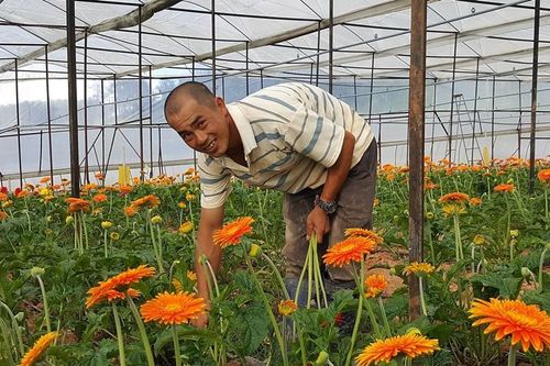 Vượt khó trở thành nông dân công nghệ cao