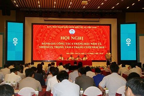 Ban Chấp hành Liên minh HTX Việt Nam: Hội nghị đánh giá công tác 6 tháng đầu năm và nhiệm vụ trọng tâm 6 tháng cuối năm 2019