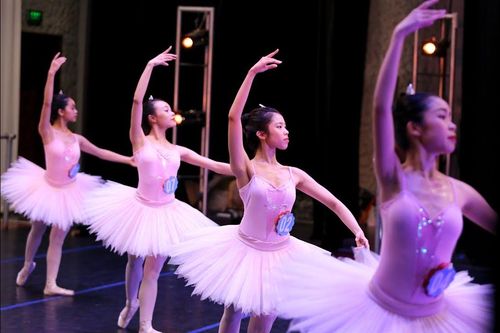 Múa cổ điển Việt Nam có thay thế được múa cổ điển châu Âu?