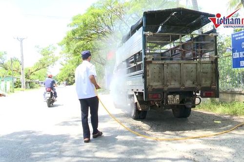 Ninh Thuận tiêu độc, khử trùng trên diện rộng ngăn dịch tả heo Châu Phi