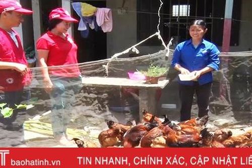 'Ngân hàng gà' tạo sinh kế cho gia đình chính sách, hộ nghèo Nghi Xuân