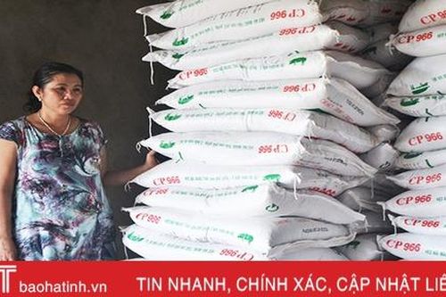 Đại lý thức ăn chăn nuôi ở Hà Tĩnh 'lao đao' theo dịch tả lợn châu Phi