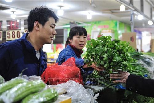 Tăng trưởng GDP của Trung Quốc ước tính chỉ đạt 6,2% trong quý II