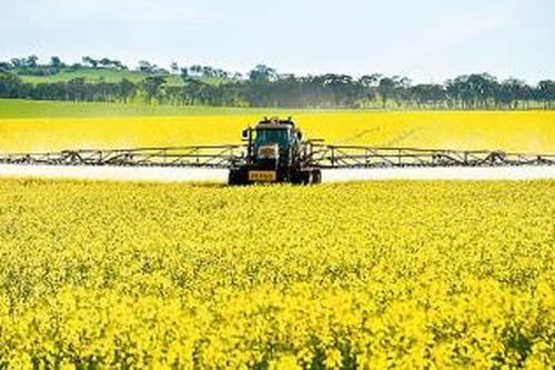 Canada đầu tư 9,95 triệu USD cho trồng trọt và đa dạng hóa ngũ cốc
