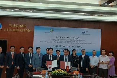 Hàn Quốc hỗ trợ cải tiến chuỗi giá trị lúa gạo ở Đồng bằng sông Hồng